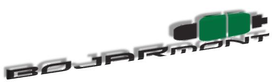 Primary Raster logo